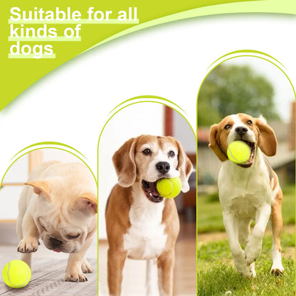Lanzador automático de pelotas para perros