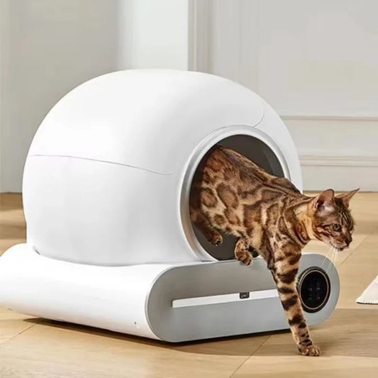 Arenero Automático Inteligente para Gatos