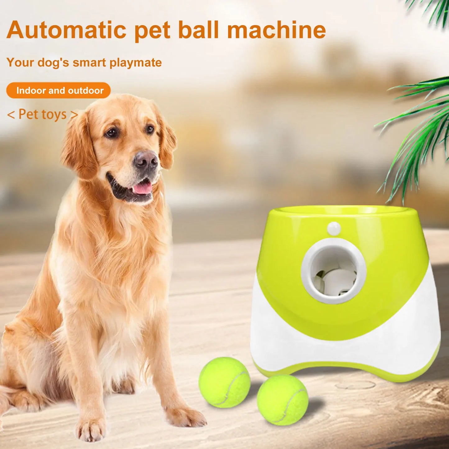 Lanzador automático de pelotas para perros