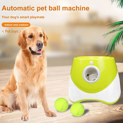 Lanzador automático de pelotas para perros
