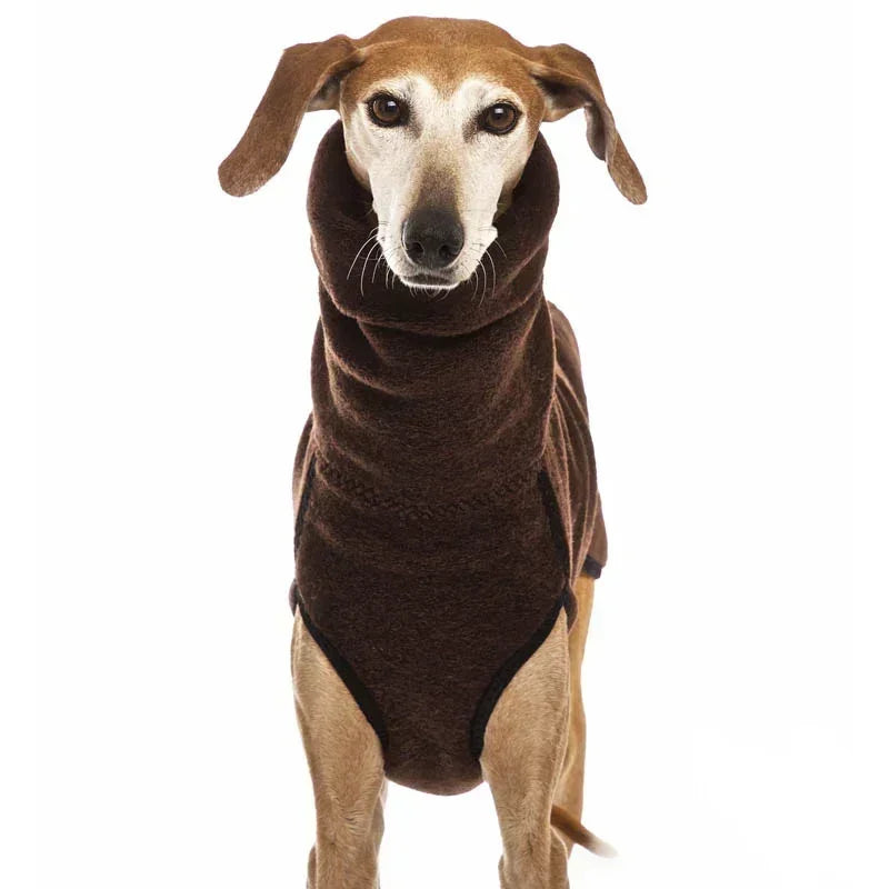 Jersey de Invierno para Perros con Cuello Alto Cálido y Suave