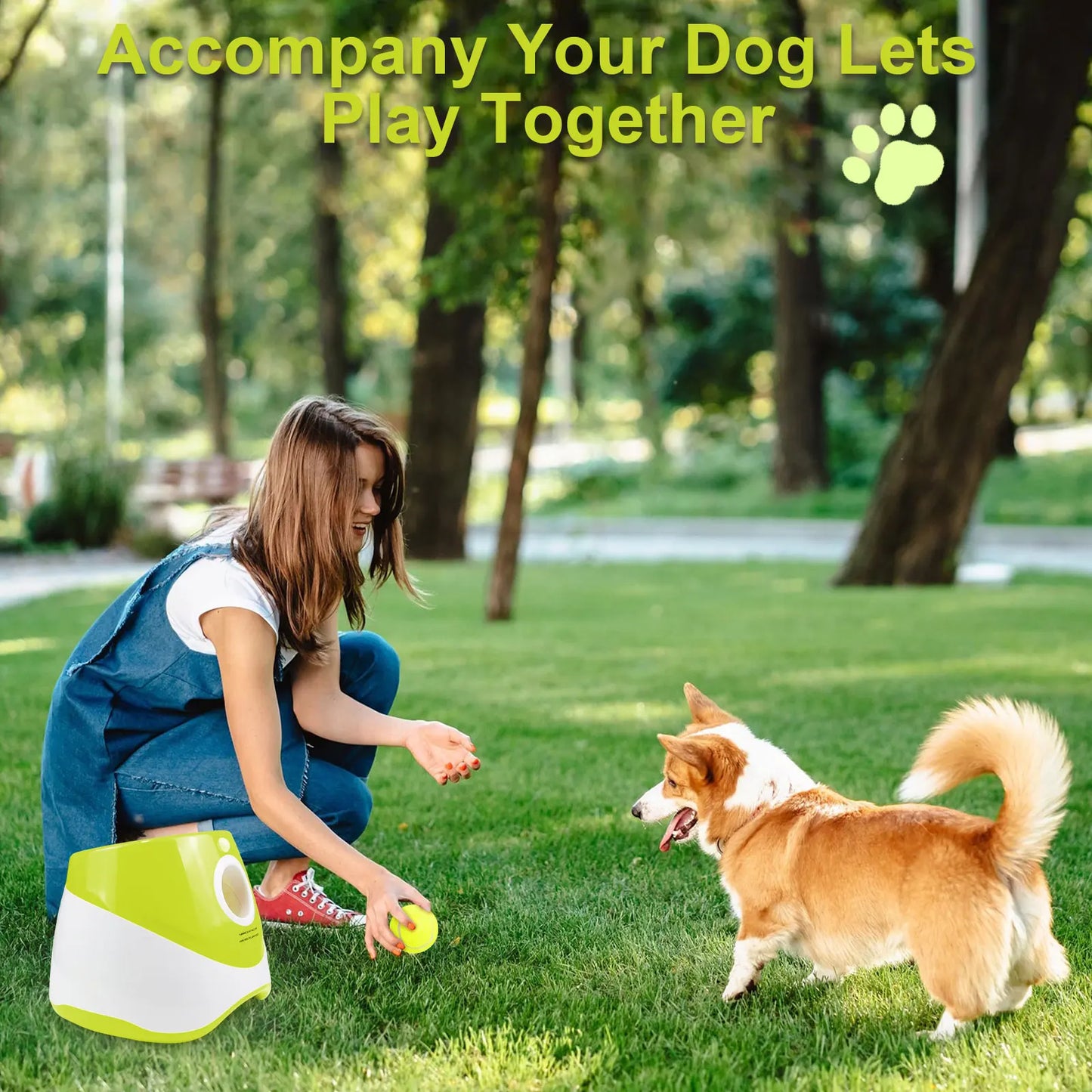 Lanzador automático de pelotas para perros